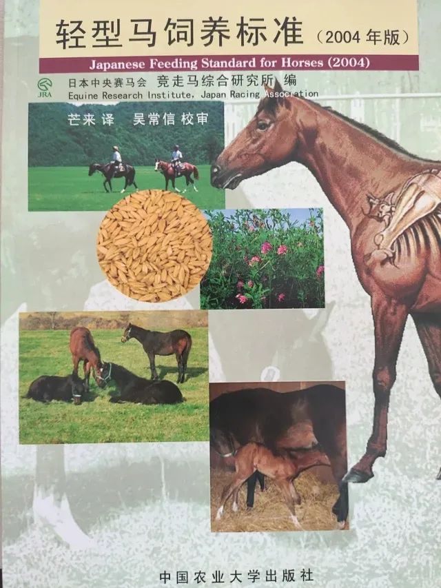 轻型马饲养标准（2004年版）.jpg