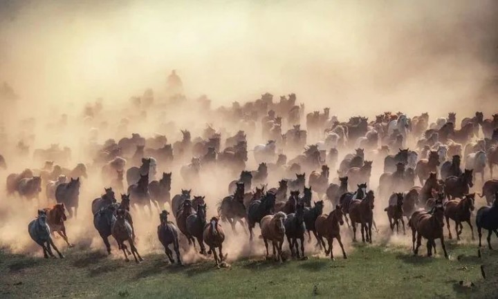 1690793471575941.jpg 2.jpg