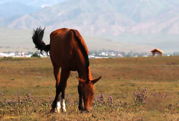 1690793487650570.jpg 3.jpg