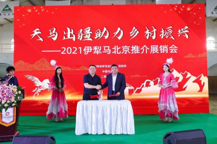 1690794119380838.jpg 8.jpg