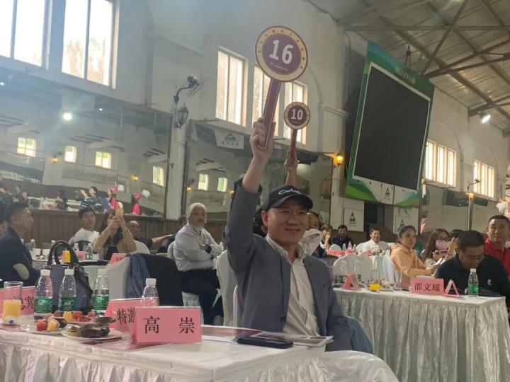 1690794270177354.jpg 11.jpg