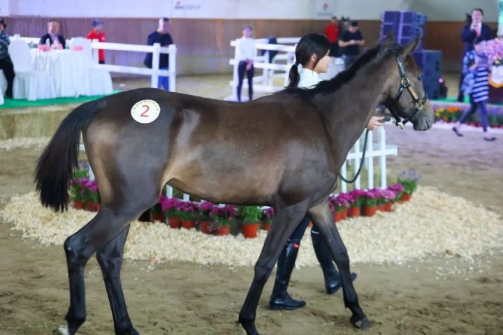 1690794281492957.jpg 12.jpg