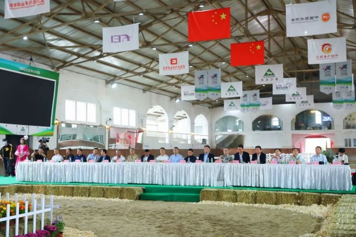 1690794292379098.jpg 13.jpg