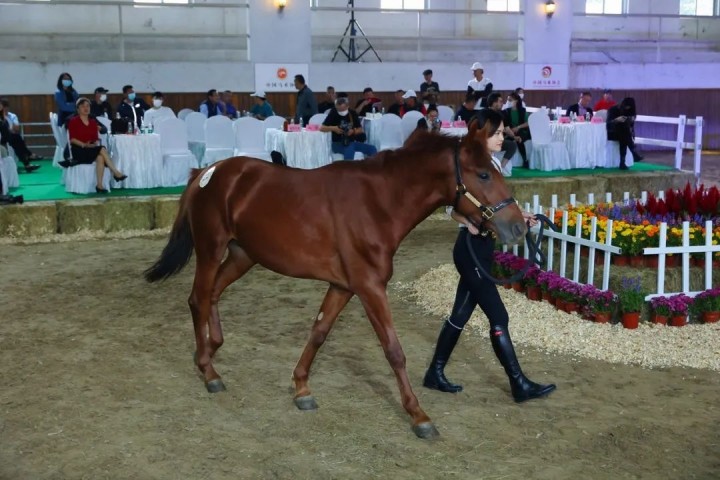 1690794345981031.jpg 15.jpg